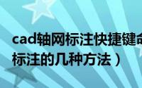 cad轴网标注快捷键命令（10月20日cad轴网标注的几种方法）