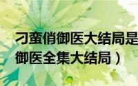 刁蛮俏御医大结局是什么（10月08日刁蛮俏御医全集大结局）