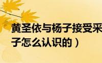 黄圣依与杨子接受采访（10月20日黄圣依杨子怎么认识的）