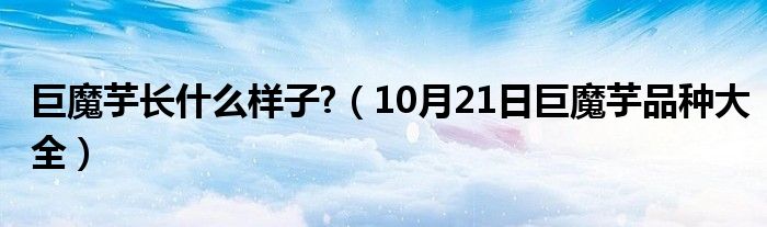 巨魔芋长什么样子?（10月21日巨魔芋品种大全）