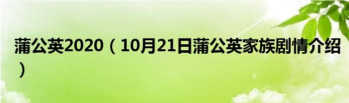 蒲公英2020（10月21日蒲公英家族剧情介绍）