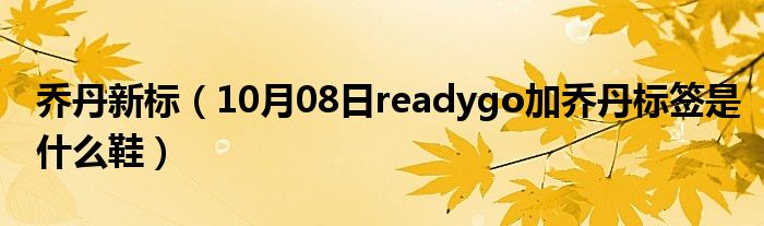 乔丹新标（10月08日readygo加乔丹标签是什么鞋）