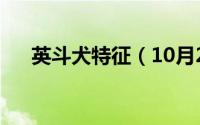 英斗犬特征（10月21日英斗犬优缺点）