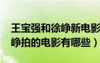 王宝强和徐峥新电影（10月22日王宝强和徐峥拍的电影有哪些）