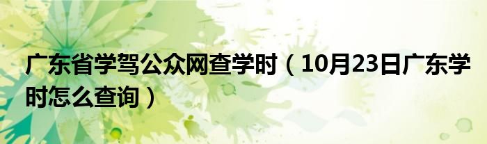 广东省学驾公众网查学时（10月23日广东学时怎么查询）