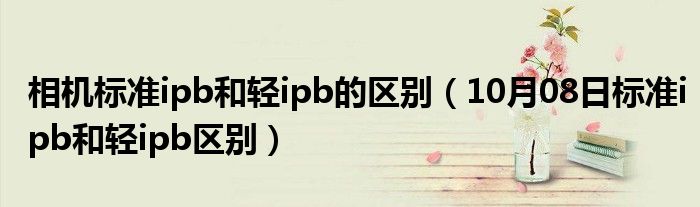 相机标准ipb和轻ipb的区别（10月08日标准ipb和轻ipb区别）