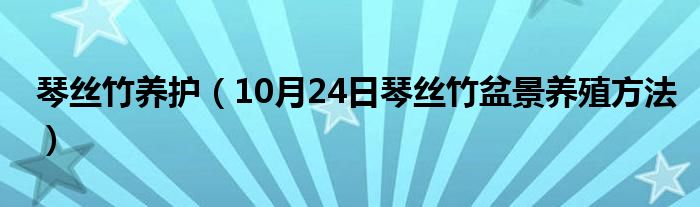 琴丝竹养护（10月24日琴丝竹盆景养殖方法）