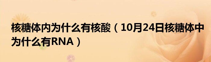 核糖体内为什么有核酸（10月24日核糖体中为什么有RNA）