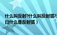 什么叫反射?什么叫反射弧?反射弧是怎样传导的?（10月24日什么是反射弧）