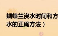 蝴蝶兰浇水时间和方法（10月25日蝴蝶兰浇水的正确方法）