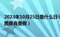 2023年10月25日是什么日子（10月25日康师傅方便面含多菌是真是假）