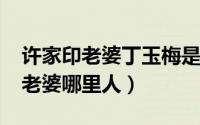 许家印老婆丁玉梅是哪里人（10月25日于谦老婆哪里人）