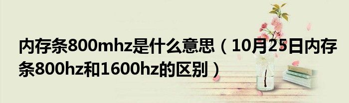 内存条800mhz是什么意思（10月25日内存条800hz和1600hz的区别）