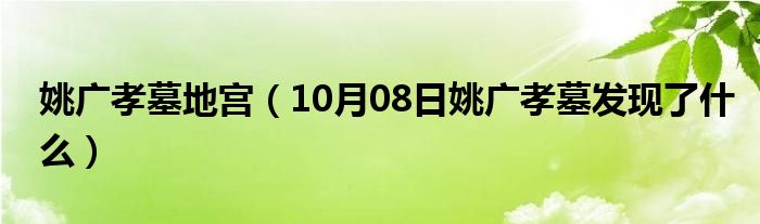 姚广孝墓地宫（10月08日姚广孝墓发现了什么）