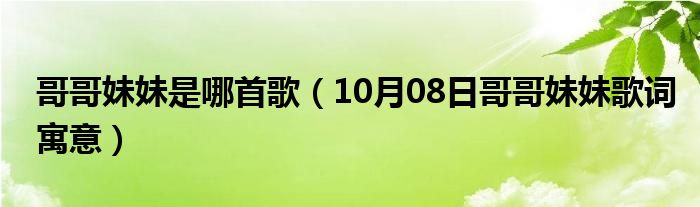 哥哥妹妹是哪首歌（10月08日哥哥妹妹歌词寓意）