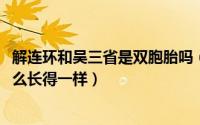解连环和吴三省是双胞胎吗（10月08日解连环和吴三省为什么长得一样）