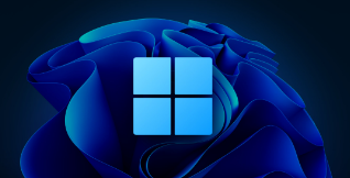 Windows 11 build 25977允许您在初始设置期间安装网络驱动程序
