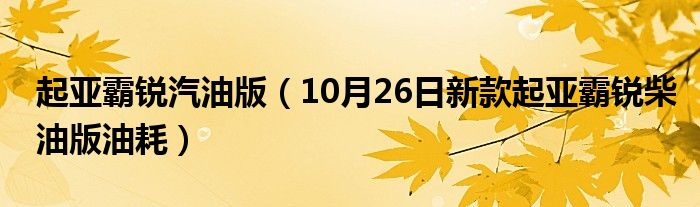 起亚霸锐汽油版（10月26日新款起亚霸锐柴油版油耗）