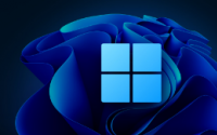 Windows 11 build 25977允许您在初始设置期间安装网络驱动程序
