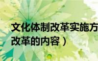 文化体制改革实施方案（10月08日文化体制改革的内容）