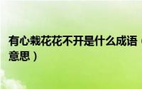 有心栽花花不开是什么成语（10月28日有心栽花花不开什么意思）