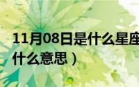 11月08日是什么星座（10月08日小乔出嫁了什么意思）