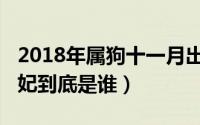2018年属狗十一月出生的命运（10月27日熹妃到底是谁）