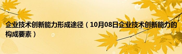 企业技术创新能力形成途径（10月08日企业技术创新能力的构成要素）