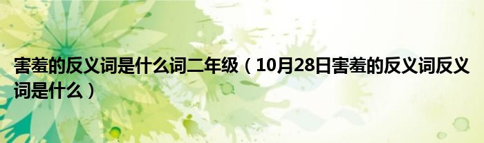 害羞的反义词是什么词二年级（10月28日害羞的反义词反义词是什么）