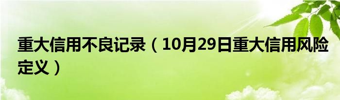 重大信用不良记录（10月29日重大信用风险定义）