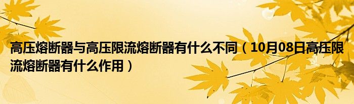 高压熔断器与高压限流熔断器有什么不同（10月08日高压限流熔断器有什么作用）