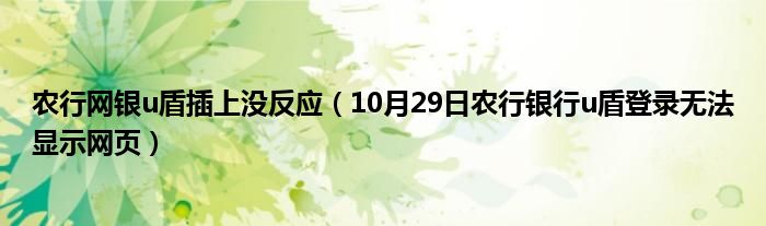 农行网银u盾插上没反应（10月29日农行银行u盾登录无法显示网页）