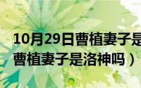 10月29日曹植妻子是洛神吗对吗（10月29日曹植妻子是洛神吗）