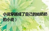 小说穿越成了自己的姑奶奶（10月08日穿越成自己的姑奶奶的小说）
