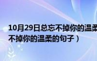 10月29日总忘不掉你的温柔的句子是什么（10月29日总忘不掉你的温柔的句子）