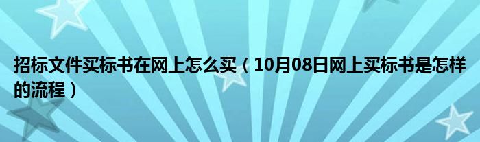 招标文件买标书在网上怎么买（10月08日网上买标书是怎样的流程）