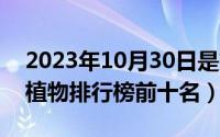 2023年10月30日是第几周（10月30日驱蚊植物排行榜前十名）