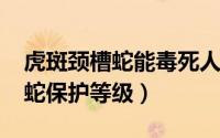 虎斑颈槽蛇能毒死人吗（10月30日虎斑颈槽蛇保护等级）