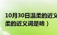 10月30日温柔的近义词是啥呀（10月30日温柔的近义词是啥）