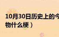 10月30日历史上的今天（10月30日海猫络合物什么梗）