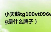 小天鹅tg100vt096wdg-y1t（10月08日wdg是什么牌子）