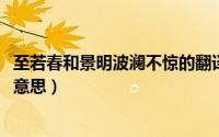 至若春和景明波澜不惊的翻译（10月31日至若春和景明和的意思）