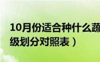 10月份适合种什么蔬菜（10月30日芝麻分等级划分对照表）