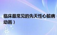临床最常见的先天性心脏病（10月30日十六夜咲夜出自什么动画）