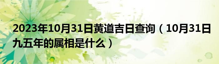 2023年10月31日黄道吉日查询（10月31日九五年的属相是什么）