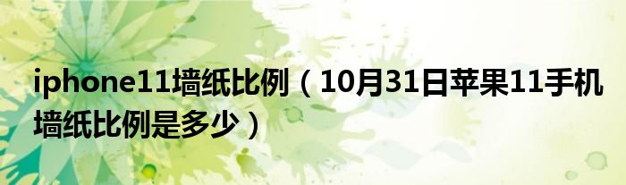 iphone11墙纸比例（10月31日苹果11手机墙纸比例是多少）