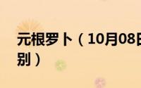 元根罗卜（10月08日元萝卜和元萝卜pro区别）