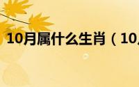 10月属什么生肖（10月31日龙纹鏊厉害吗）