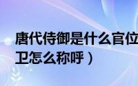 唐代侍御是什么官位（10月08日唐代御前侍卫怎么称呼）