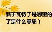 脑子瓦特了是哪里的话（10月31日脑子瓦特了是什么意思）